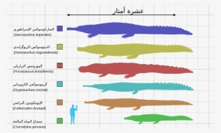 File - Large Crocodyliformes-ar - Svg