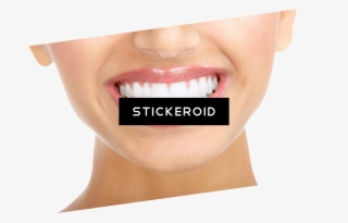 White Teeth - Vademecum Toothpaste - Perfection 5 - 3 Count