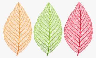 Download Transparent Leaves Set Clipart Png Photo - Translucent Leaf Transparent Background