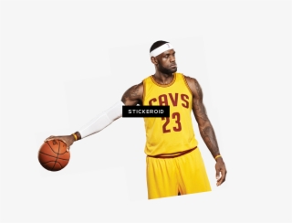 Lebron James - Basketball Moves