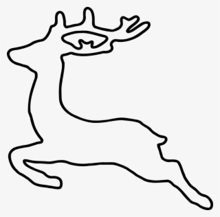 Deer, Jumping, Animal, Running, Running Away