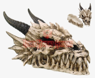 Dragon Skull Box - Dragon Skull