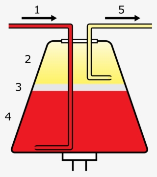 Apheresis