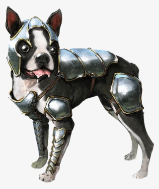 Armoredbostonterrier - Boston Terrier Armor