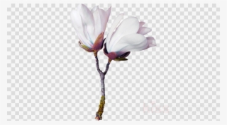 Flower Clipart Cut Flowers Pressed Flower Craft - Clip Art