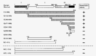 Summary Of Dimerization Activity Of Cenp-b Polypeptides - Diagram