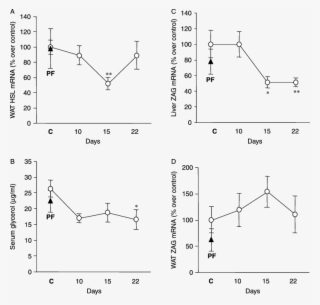 Download - Hormone-sensitive Lipase