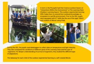 Outdoor Learning For P6 - Poster