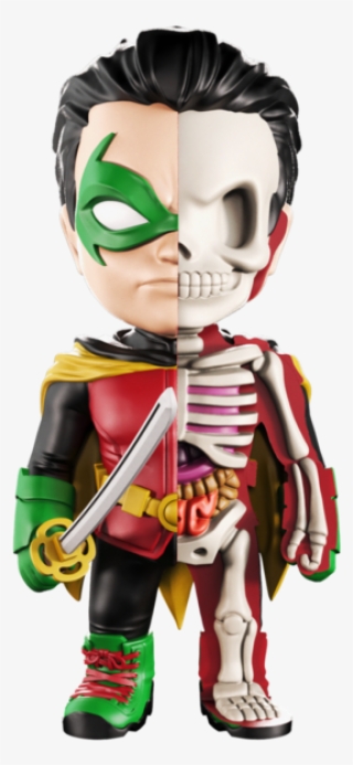 Xxray Robin - Jason Freeny