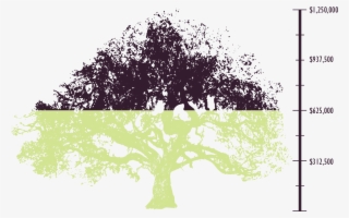 We Invite The Rancho Santa Ana Botanic Garden Community - Oak