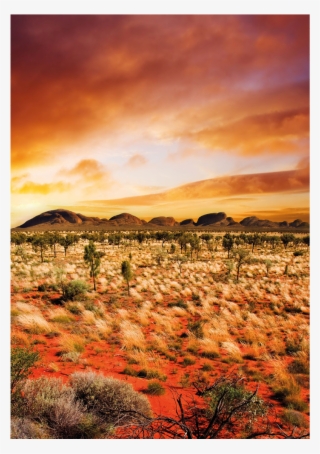 Australia, Tanami Desert - Kata Tjuta