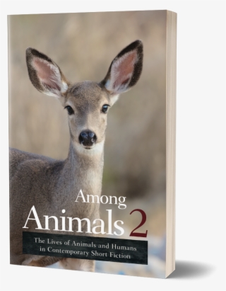 Among Animals - Among Animals 2: The Lives Of Animals