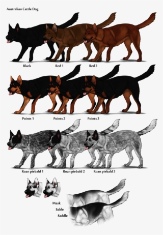 All Breeds Of Dogs Dog Breed Selector Animal Planet - Dog Breed