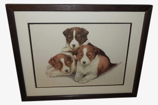 Artist - Serbian Tricolour Hound