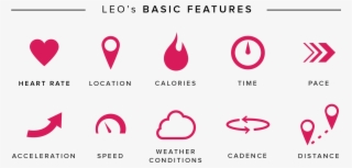 Leo Fitness Intelligence Indiegogo - Everything About A Leo