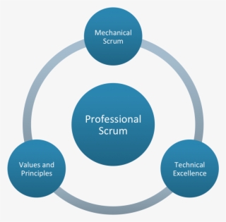 Scaled Professional Scrum - Web Analytics Process