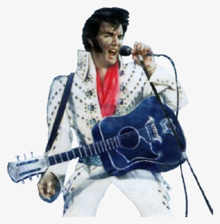 Michael Shannon As Elvis Presley - Guitar