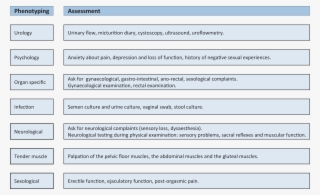 Other Painful Conditions Without A Urological Cause - Pain Classification Diagnosis
