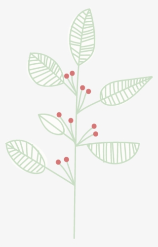 Gym Web Elements-red Berries