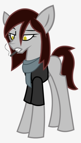 We Have The Pegasus Who Crashed Into The Town Now Trying - Equestria