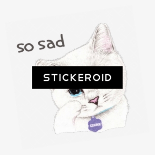 Sad Girl In Front Of Laptop - Duke Nukem Forever Box Art