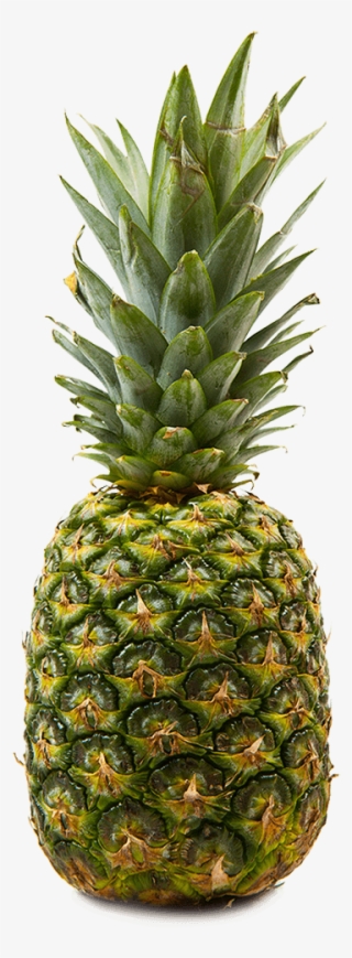 Pineapple Is A Tropical Fruit And A Staple In Many - Pineapple