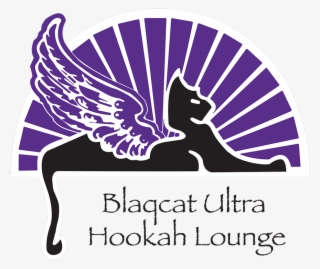 Blaqcat Ultra Hookah Lounge Where Your Complete Satisfaction - Low Vs High Risk