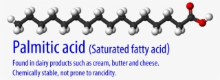 The White Balls Are Hydrogen, The Black Are Carbon, - Saturated Fat Molecule Model
