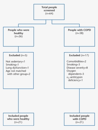 Consort Diagram Showing The Recruitment Process And - Consolidated Standards Of Reporting Trials