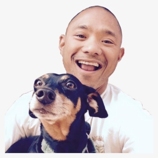 11329901 829708153776855 1446044594404932477 N - Companion Dog