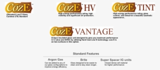 Amsco Windows - Boston Consulting Group