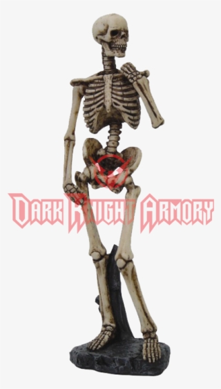 Statue Of David Skeleton