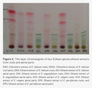 2) - - Tints And Shades