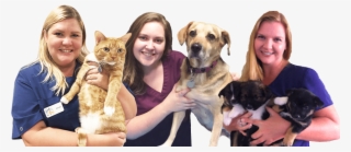 And Your Family Deserves The Best Care Possible - Redondo Veterinary Medical Center