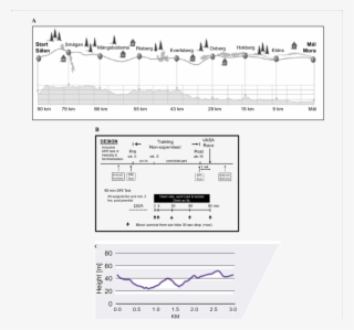 Race And Elevation Profile Of The 91 Km Ski Race Vasaloppet - Vasaloppet