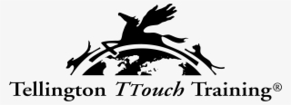 Join The Canine Confidence Club - Tellington Ttouch Training