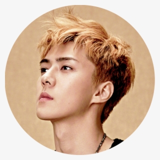 [edit/icon] Superelle - Sehun Superelle