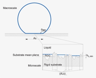 A Macroscopic Liquid Drop Gently Deposed On A Randomly - Webkinz Betta Fish