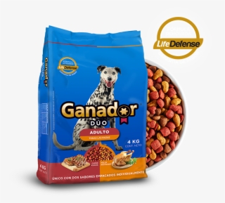 Croquetas Png