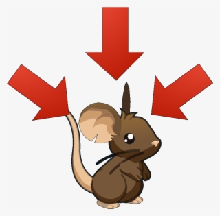 Passe Par Là - Transformice Mouse