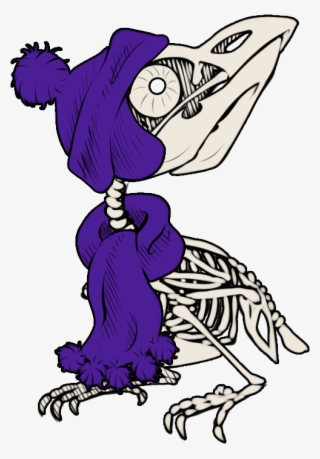Birdskull-winter - Cartoon