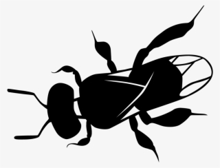Clipart Bee Path - Stingless Bee Art