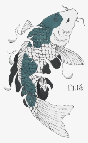 Koi Flipped - Koi Fish Drawings