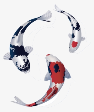 Totally Koi Bringing People Who Love Koi Together - Koi