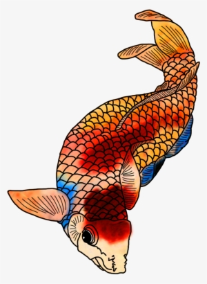 Colorful Koi Fish Drawings Clip Black And White Stock - Colorful Japanese Koi Drawings