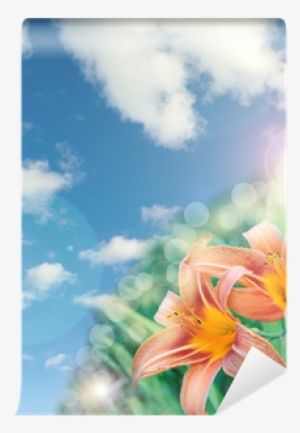 Beautiful Lily Flowers Background With Lens Flare Effect - Clip Art