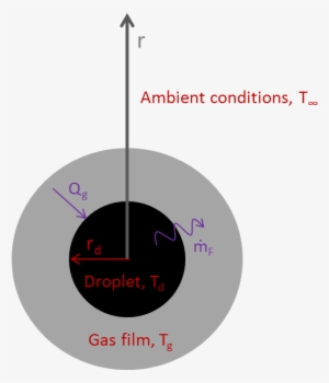 Vaporizing Droplet - Circle