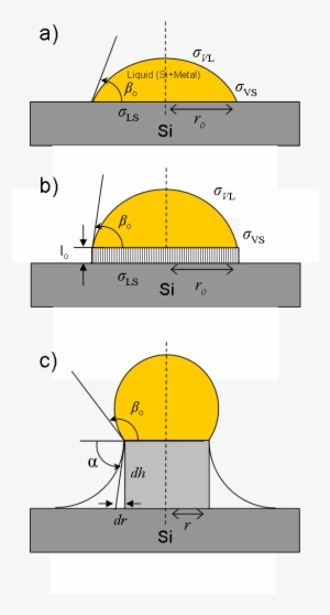 Au-si Droplet Catalyzing Whisker Growth - Diagram
