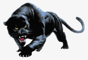 Panther Fighting Png - Devon Meadows Football Club