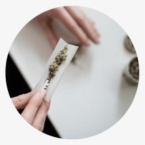 The Rush To Legalize Marijuana Image Female Hands Rolling - Best Quality Weed India